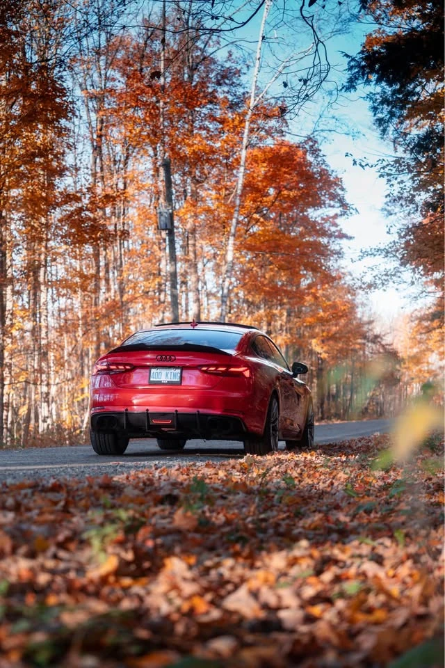 Audi S5 * QUATTRO* CARBON* ПОДГРЕВ* , снимка 2 - Автомобили и джипове - 54244579