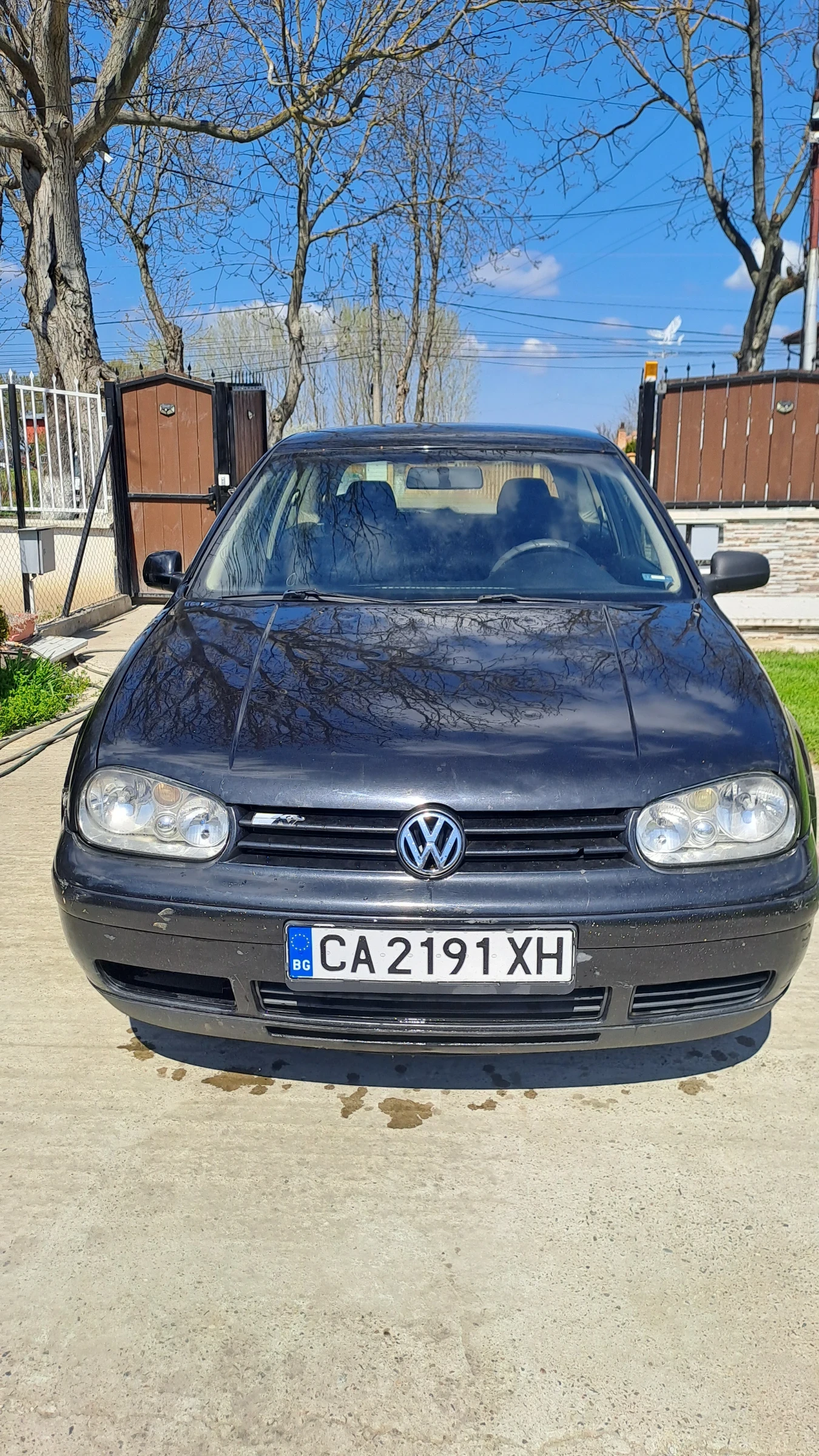 VW Golf