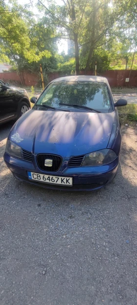     Seat Ibiza