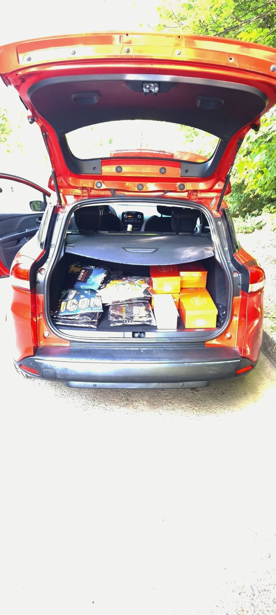 Renault Clio  - изображение 9