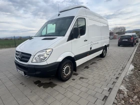 Mercedes-Benz 313 | Mobile.bg � ����� ������ 2