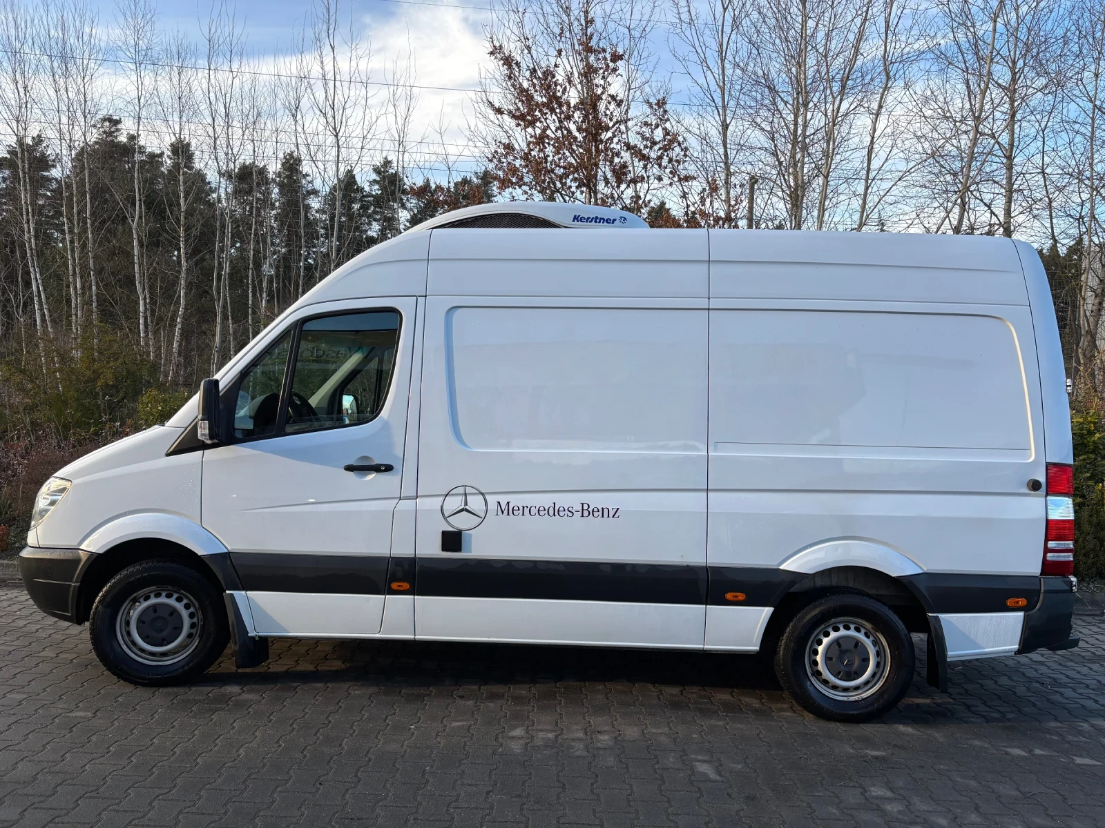 Mercedes-Benz 313, снимка 9 - Бусове и автобуси - 54044276