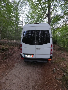 Кемпер Mercedes-Benz 319 CDI | Auto.bg — изображение 5