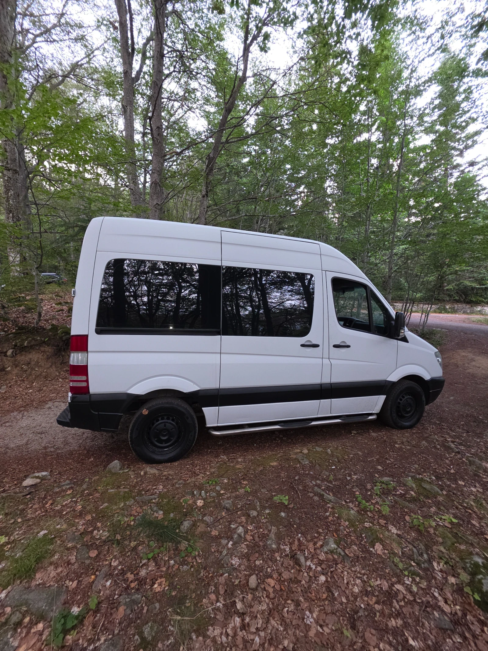 Кемпер Mercedes-Benz 319 CDI, снимка 4 - Каравани и кемпери - 55931632