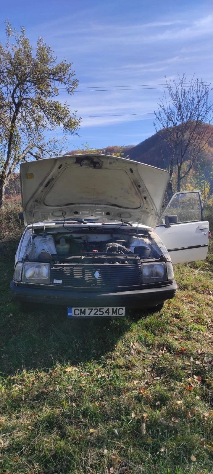 Renault 18  GTL (Grand Touring Luxe), снимка 2 - Автомобили и джипове - 47751884