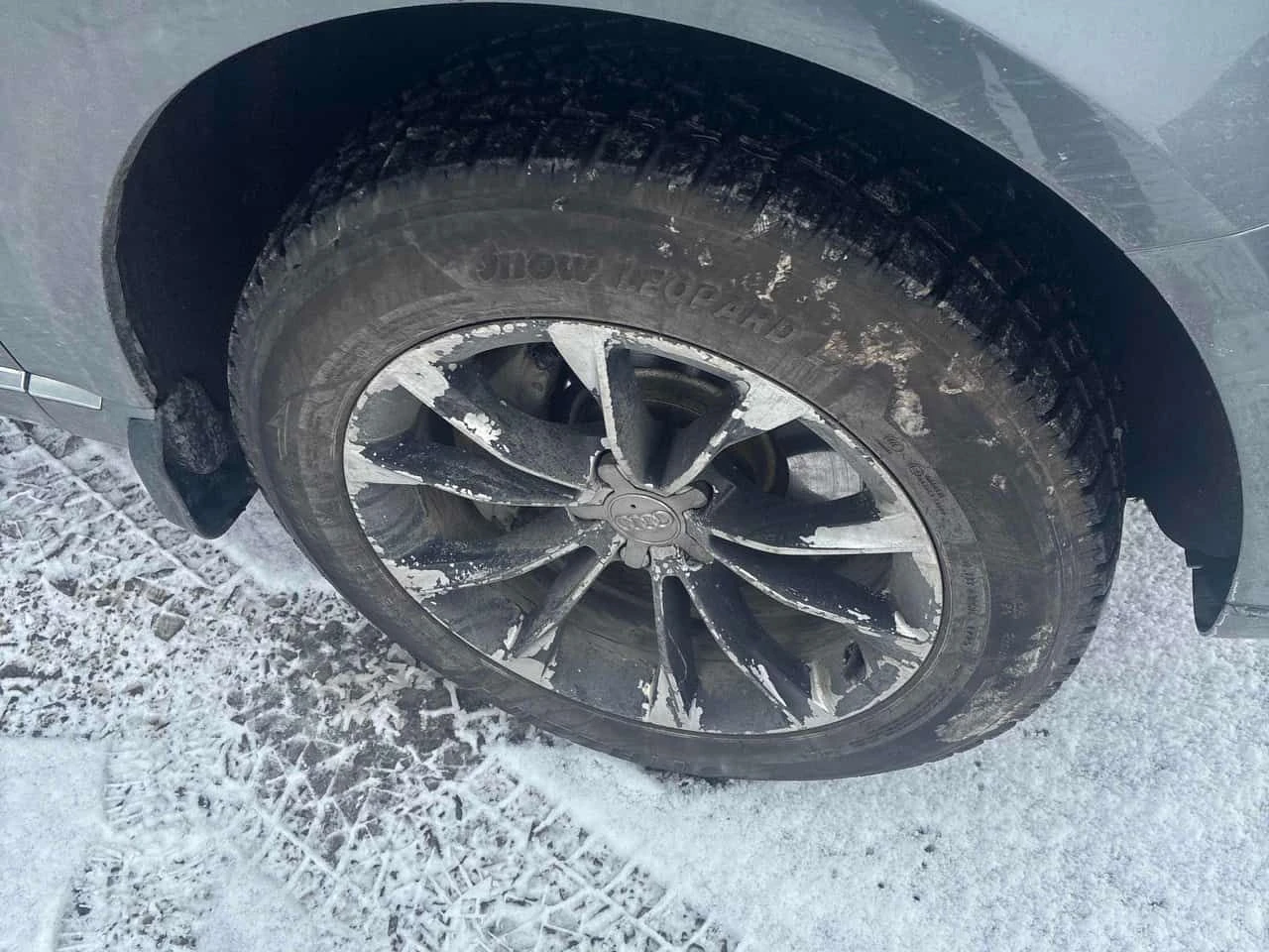 Audi Q5 | 3.0L TDI | Progressiv | PANO | ПОДГРЕВ | КОЖА | , снимка 7 - Автомобили и джипове - 53986058