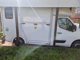 Обява за продажба на Renault Master PARAGAN HORSEBOXES ~ 100 000 лв. - изображение 1