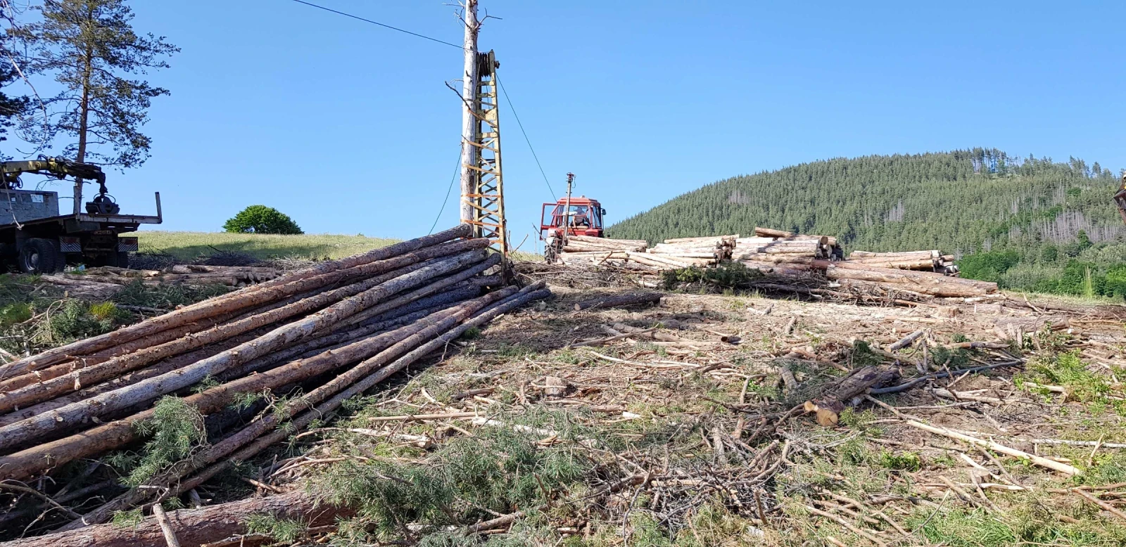 Трактор МТЗ  - изображение 2