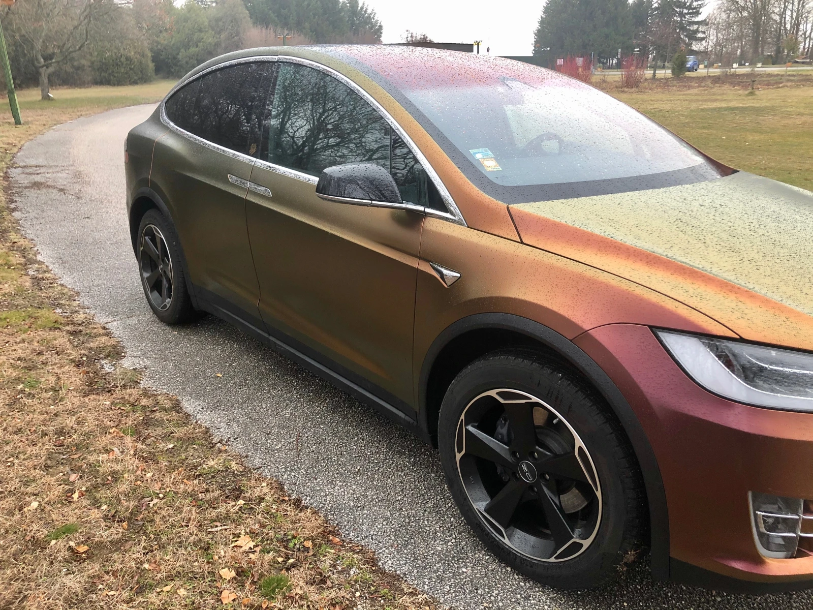 Tesla Model X 100D първи собств., снимка 5 - Автомобили и джипове - 54692027