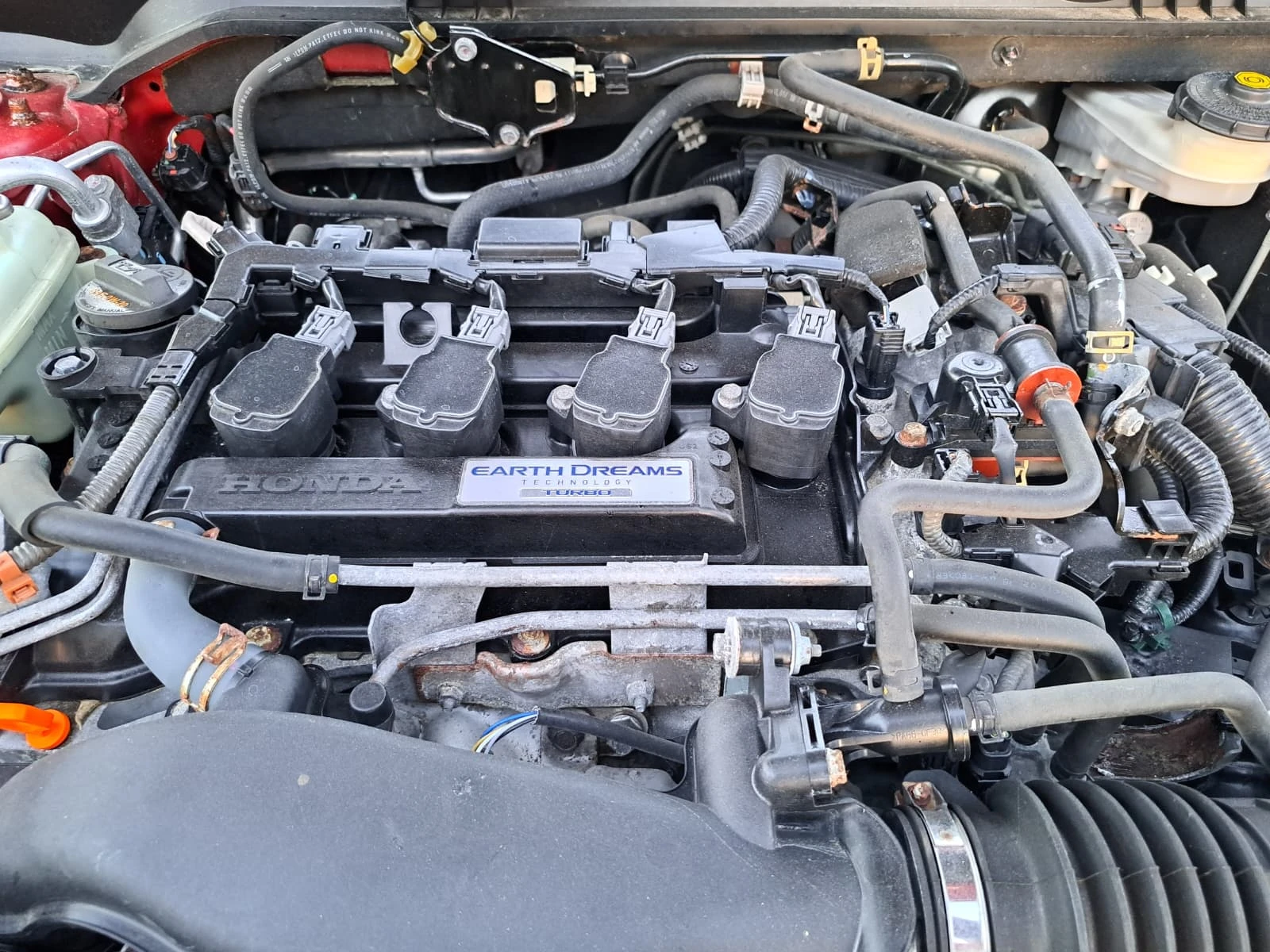 Honda Civic SI COUPE, снимка 10 - Автомобили и джипове - 54808252