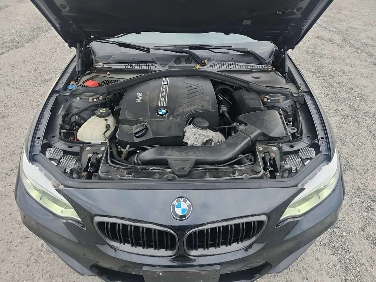 BMW 235 Cpe Rwd M235i * ���������� ��� ������������ ������ | Mobile.bg � ����������� 17