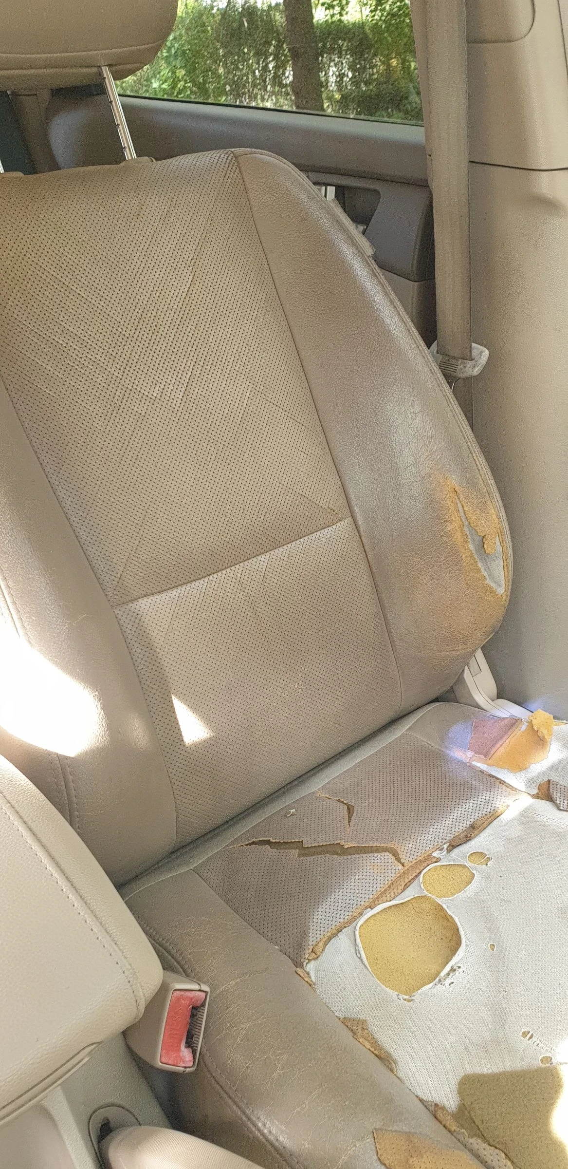 Kia Sportage -   | Mobile.bg   4