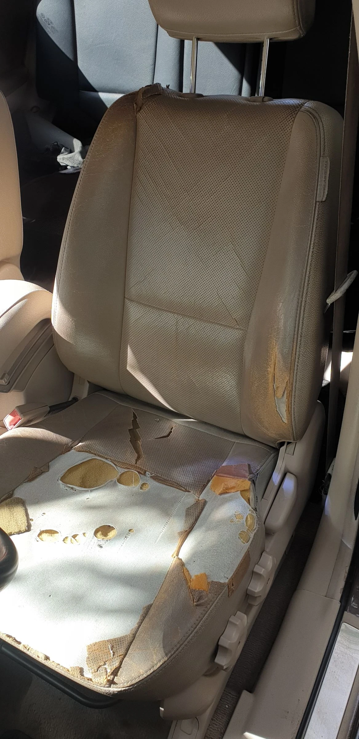 Kia Sportage -   | Mobile.bg   5