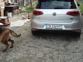 VW Golf 7, снимка 3