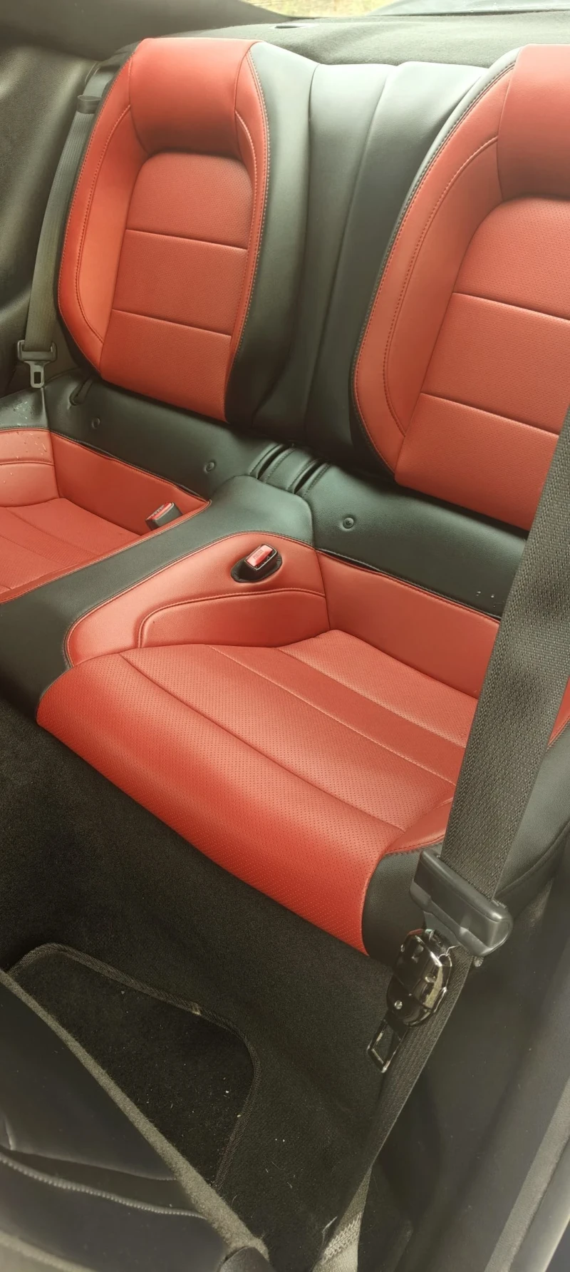 Ford Mustang, снимка 15 - Автомобили и джипове - 52473616