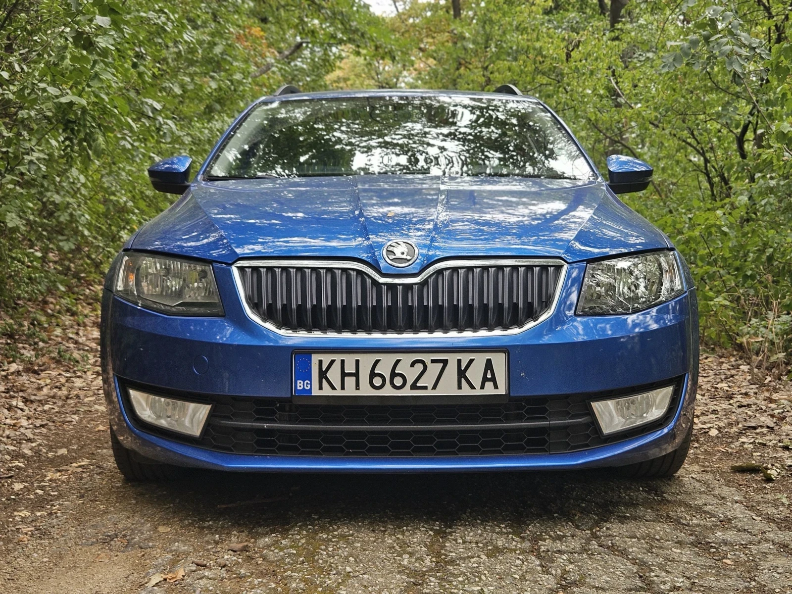 Skoda Octavia 1.6 TDI, 105 к.с, ТОП - изображение 8