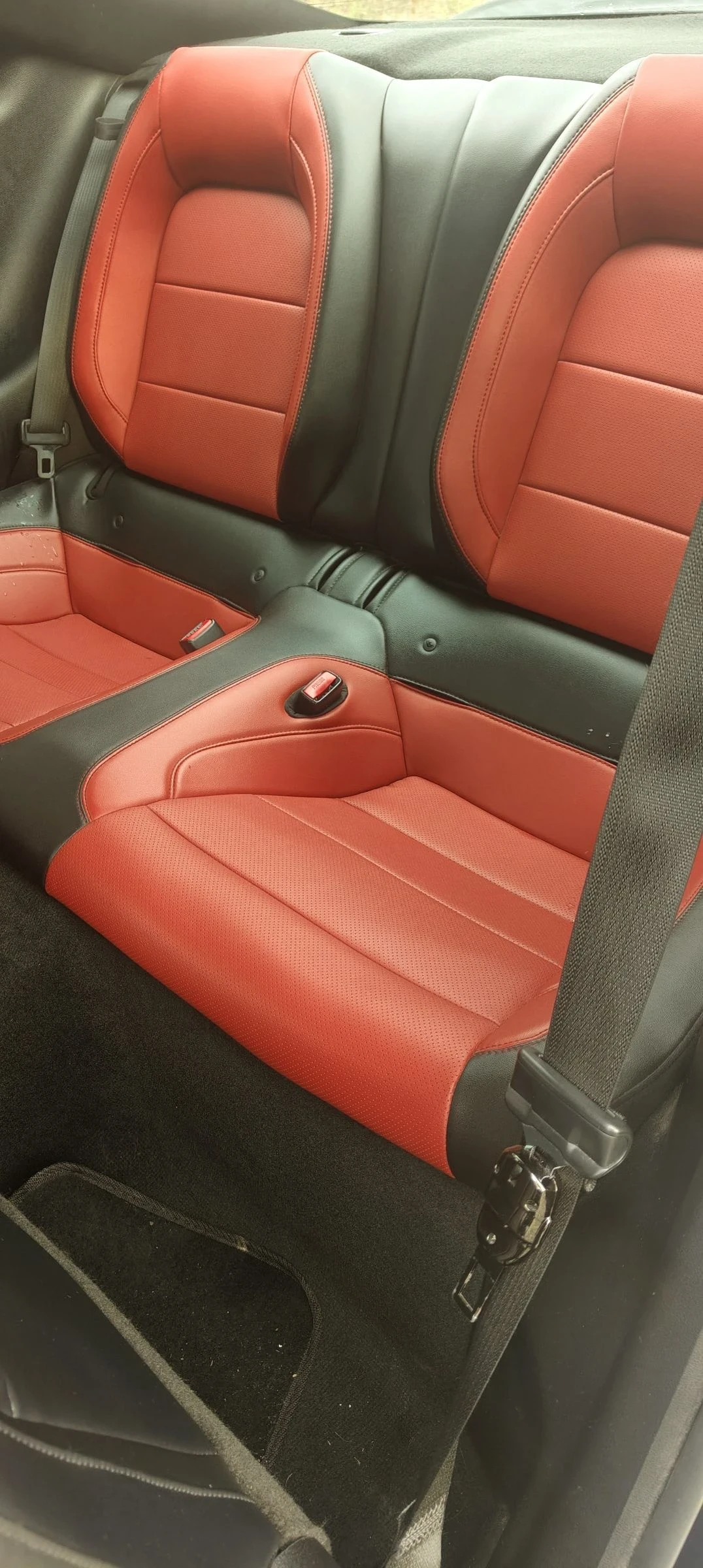 Ford Mustang | Mobile.bg � ����������� 15