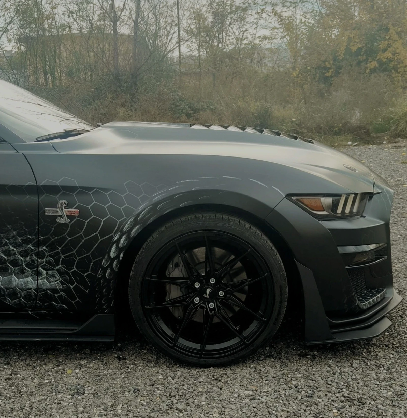 Ford Mustang  - изображение 4