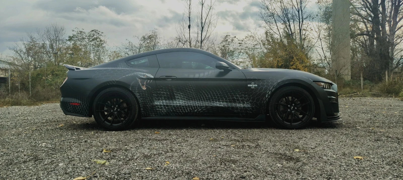 Ford Mustang  - изображение 10