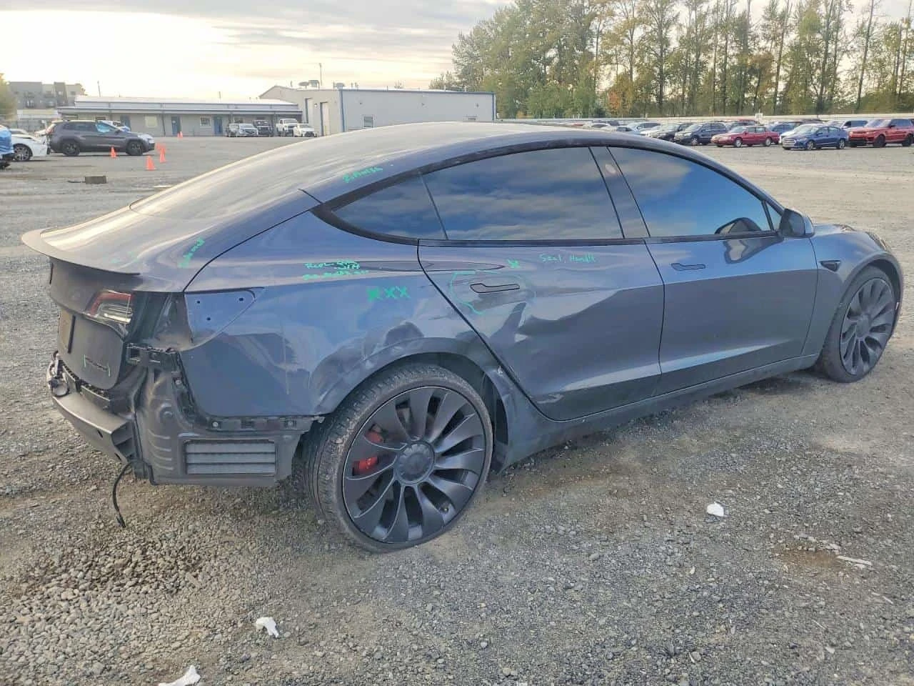 Tesla Model 3 Performance AWD | CARFAX | АВТОФИНАНСИРАНЕ , снимка 3 - Автомобили и джипове - 56639872