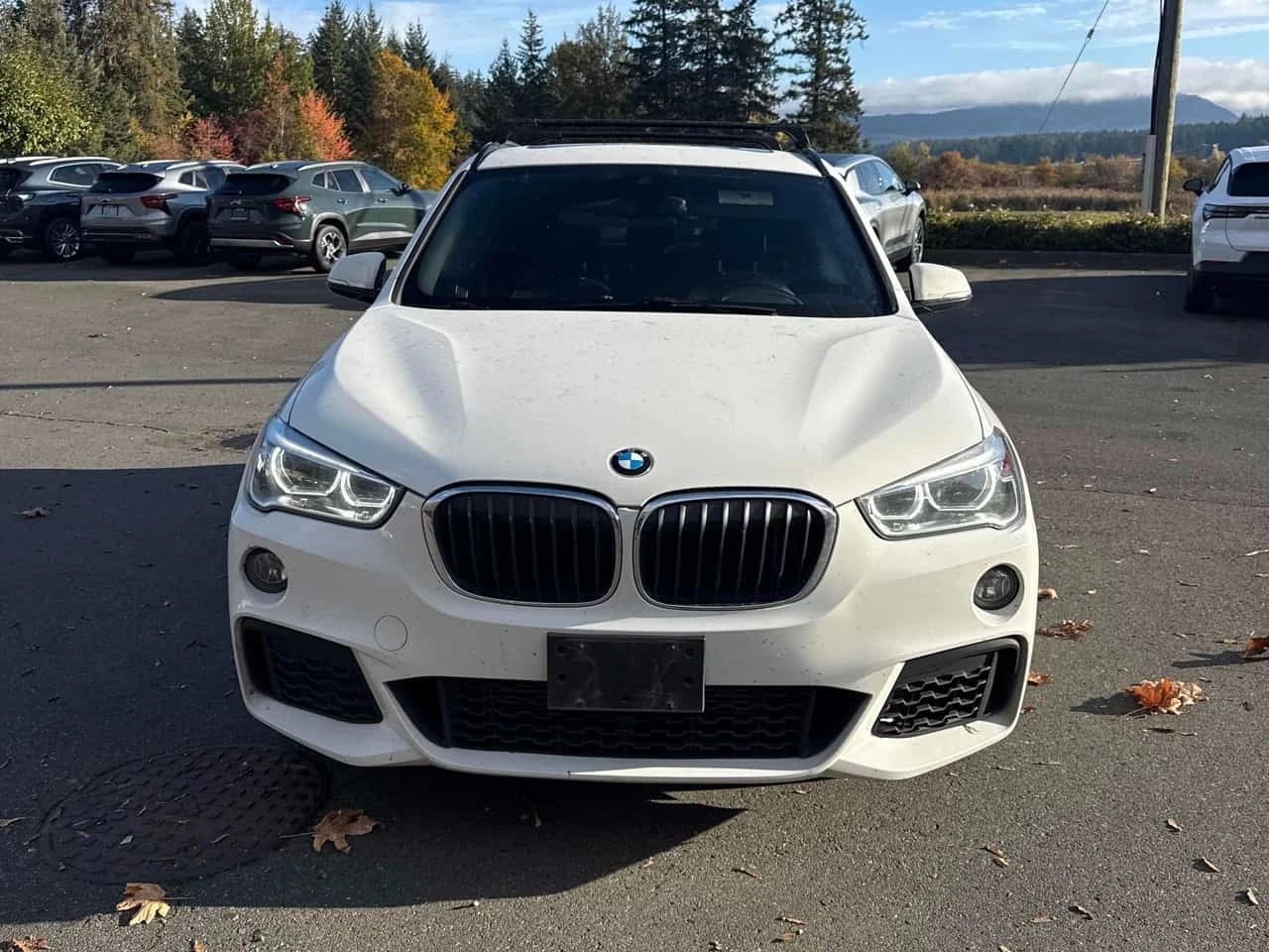 BMW X1 * xDrive28i * ���������� ��� ������������ ������*  | Mobile.bg � ����������� 6