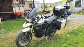  Triumph Tiger