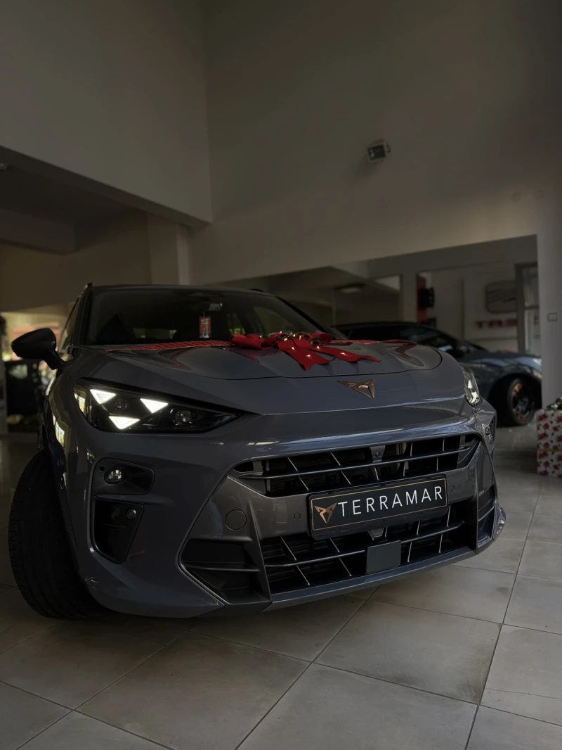Cupra Terramar 2.0 TSI 265hp, снимка 2 - Автомобили и джипове - 52848079