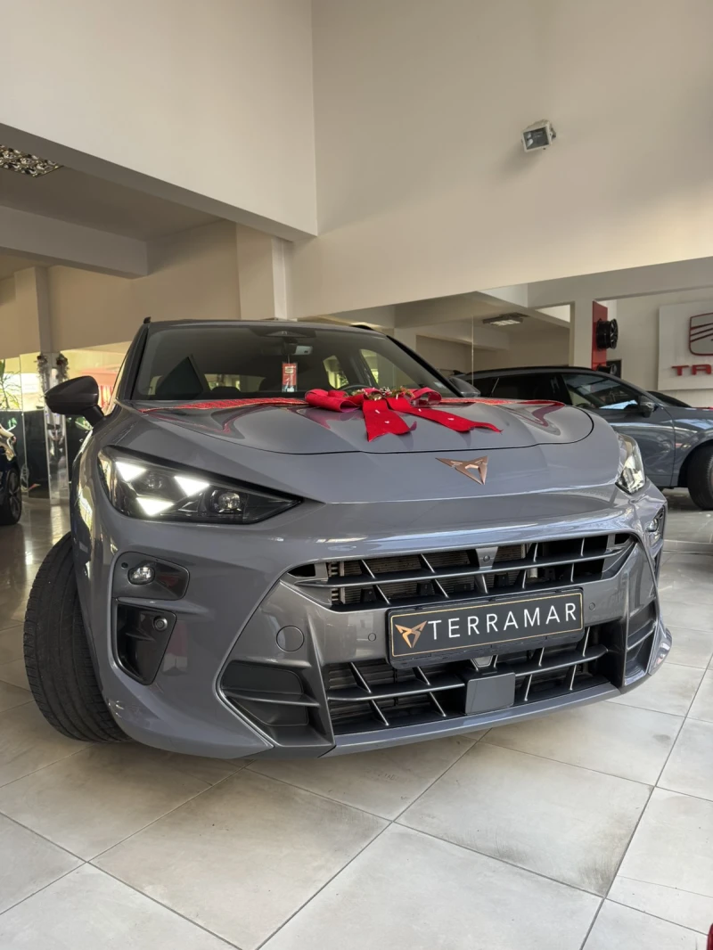 Cupra Terramar 2.0 TSI 265hp
