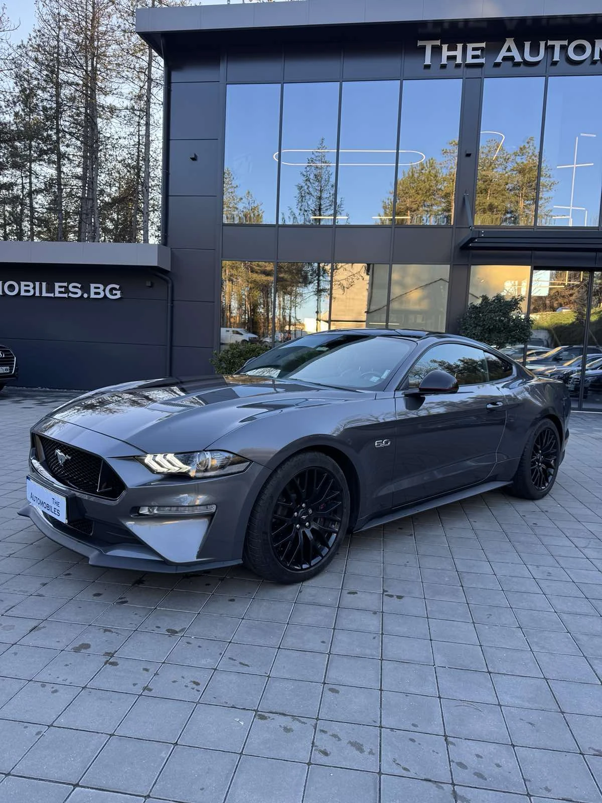 Ford Mustang 5.0 V8 - изображение 3