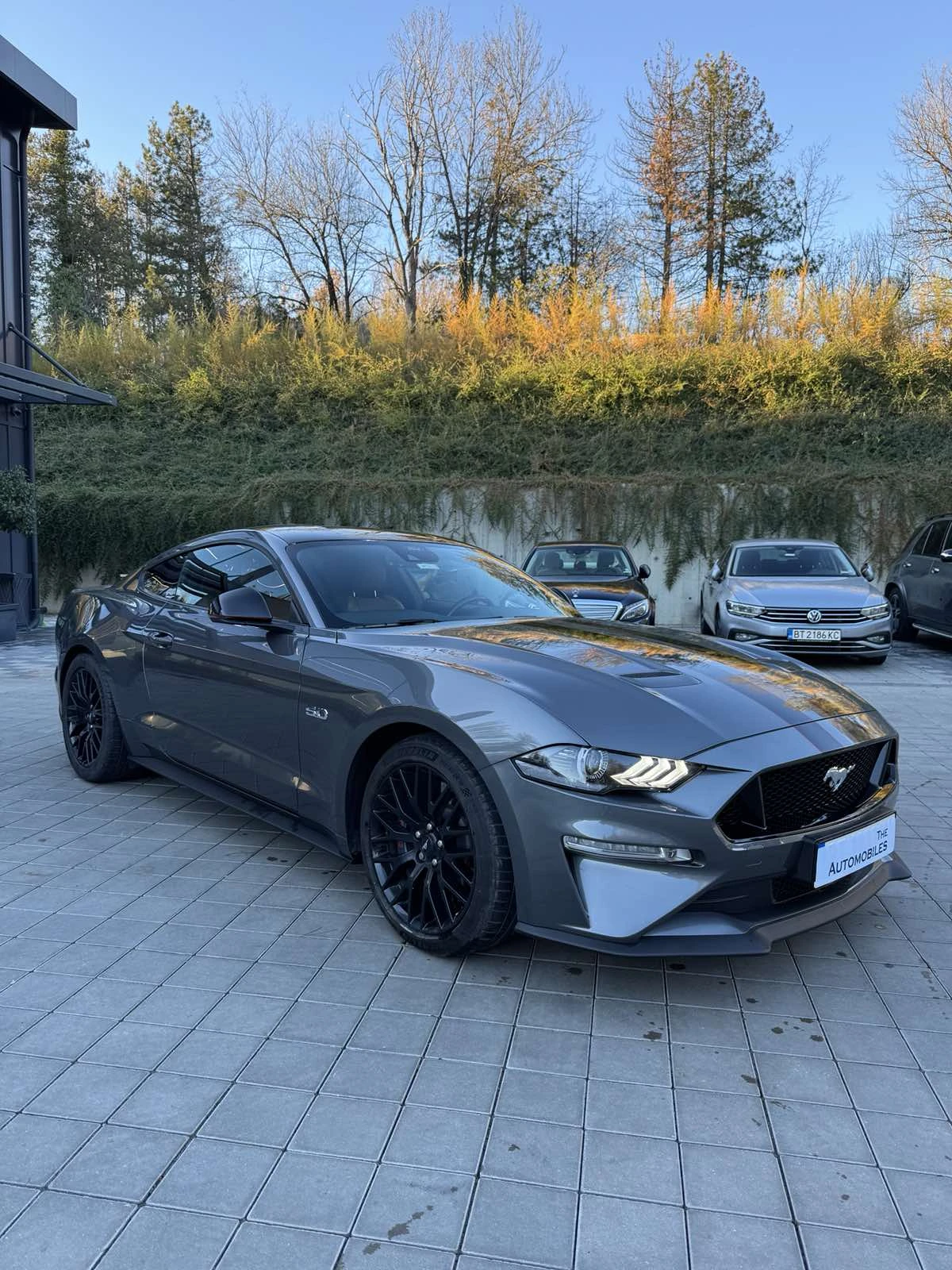 Ford Mustang 5.0 V8 - изображение 2