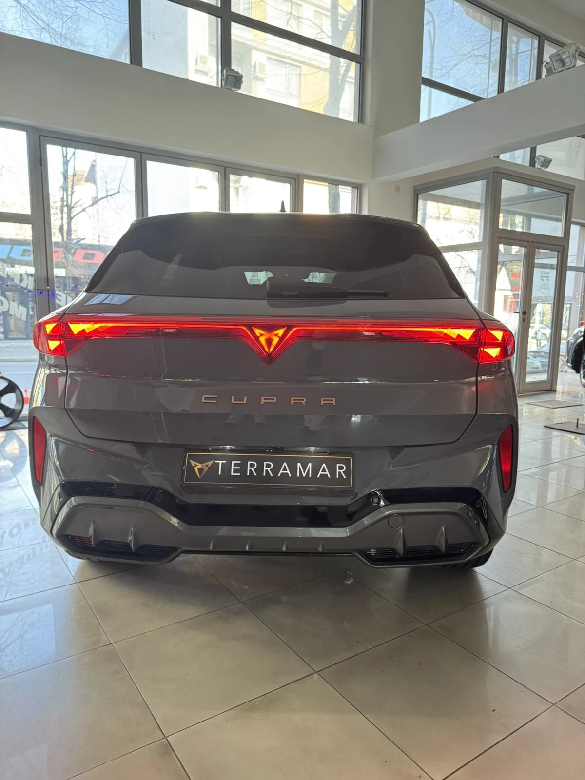 Cupra Terramar 2.0 TSI 265hp - изображение 7