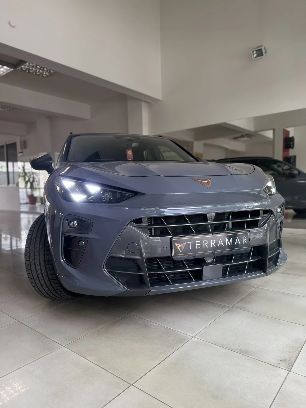 Cupra Terramar 2.0 TSI 265hp VZ