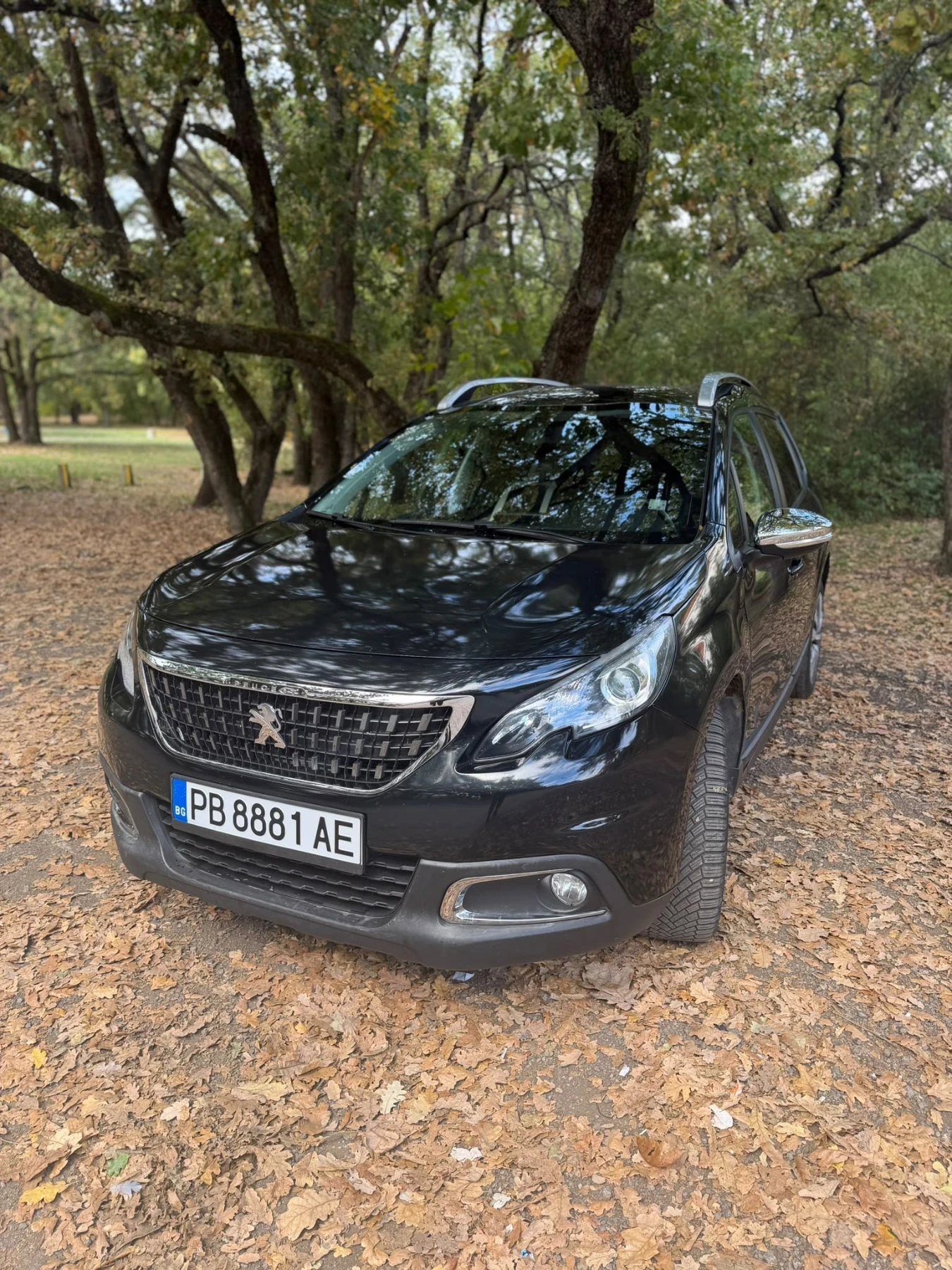 Peugeot 2008 1.6 HDI