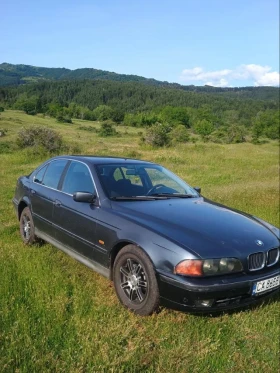     BMW 525