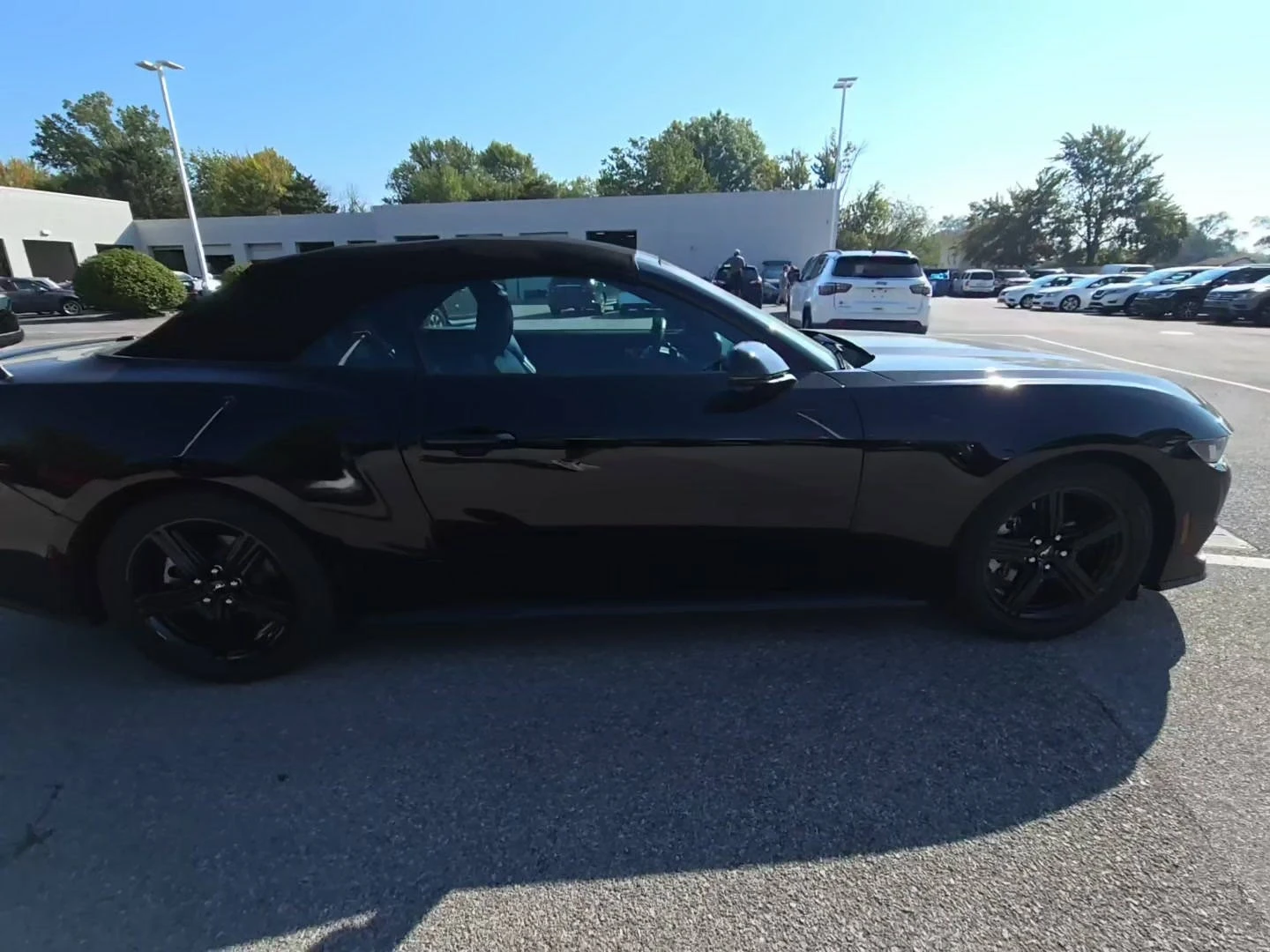 Ford Mustang EcoBoost Premium - изображение 4