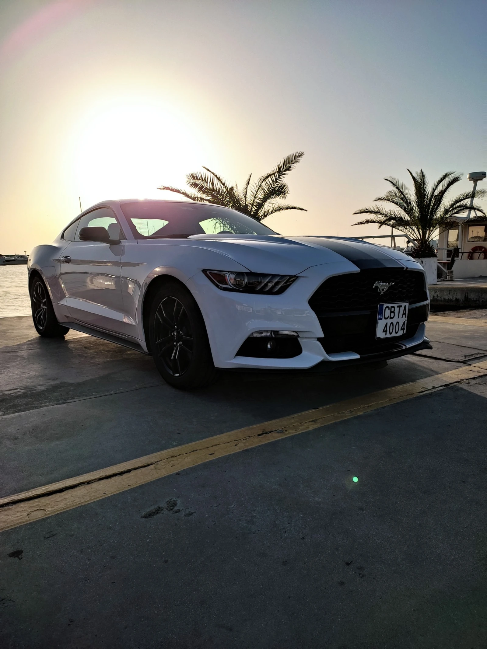 Ford Mustang 2.3l Performance package 