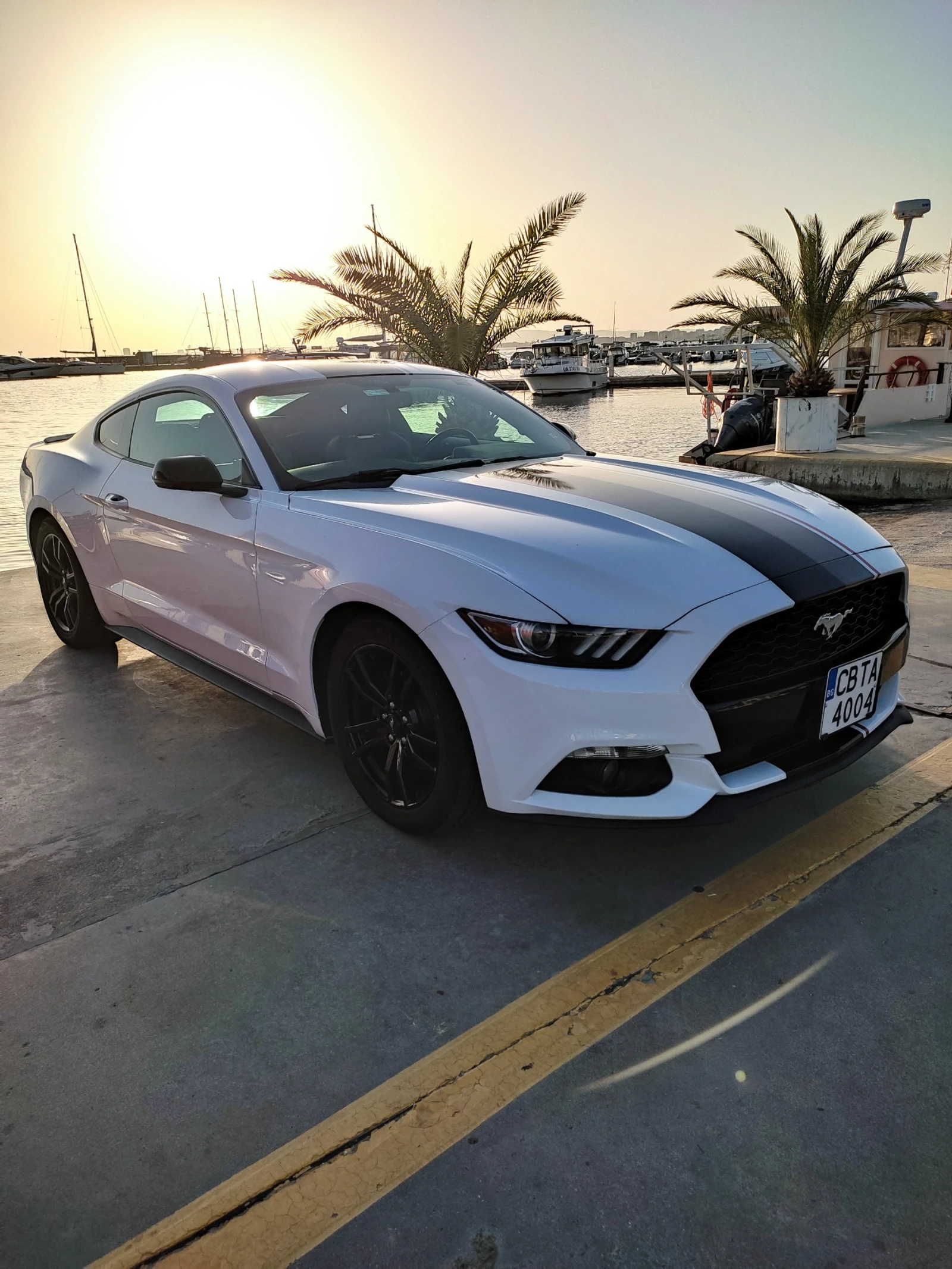 Ford Mustang 2.3l Performance package , снимка 2 - Автомобили и джипове - 53793722