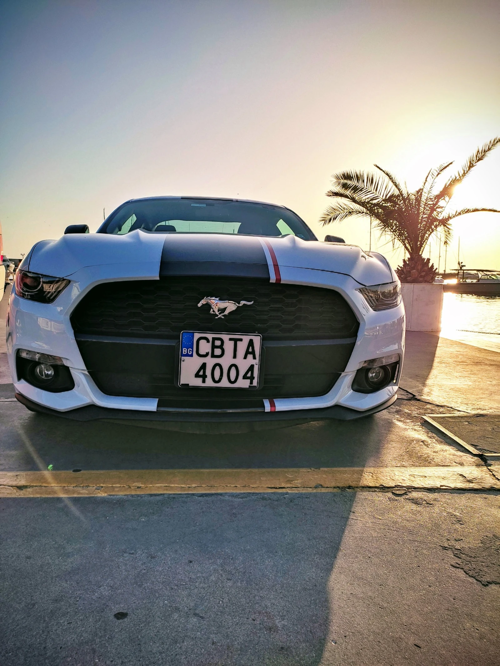 Ford Mustang, снимка 11 - Автомобили и джипове - 53793722