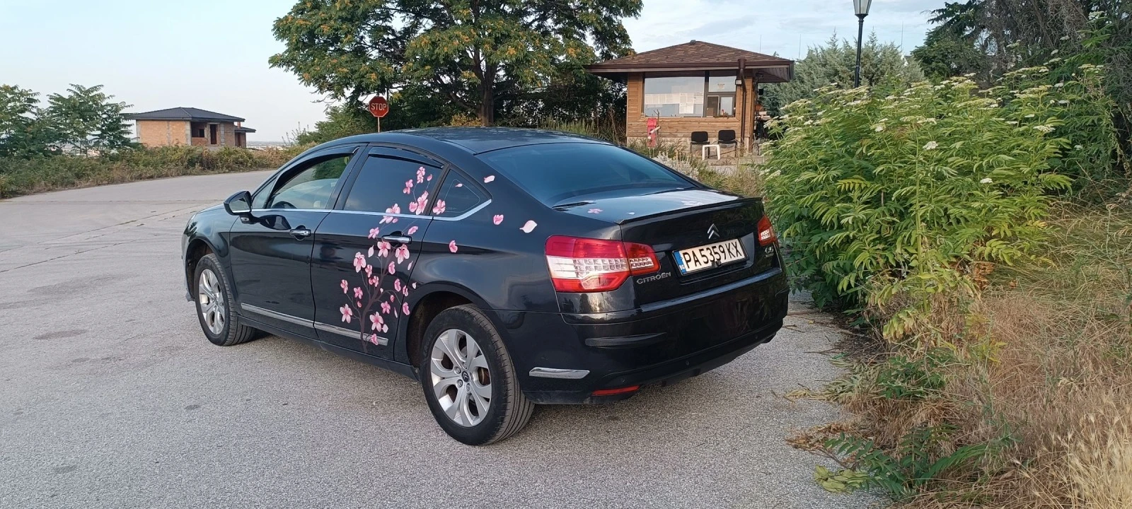 Citroen C5 2.0HDI 138 - изображение 2