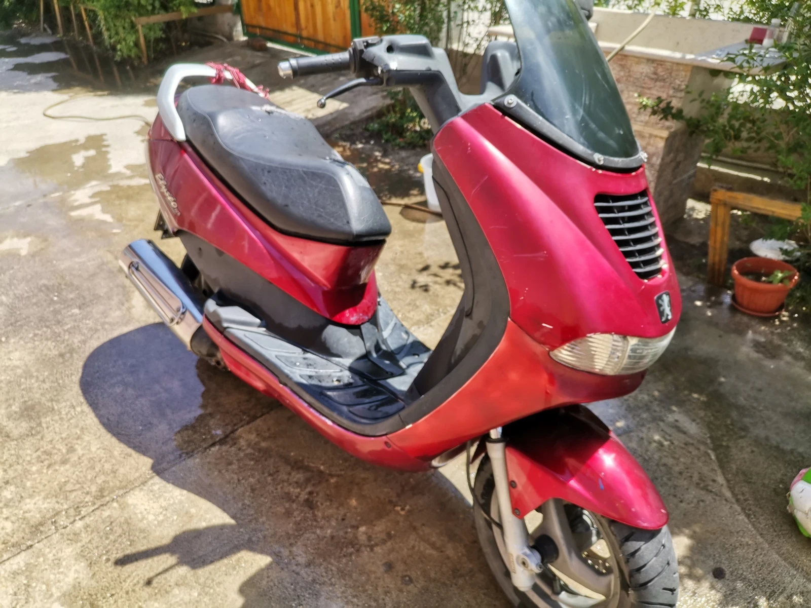 Peugeot Elystar  - изображение 4