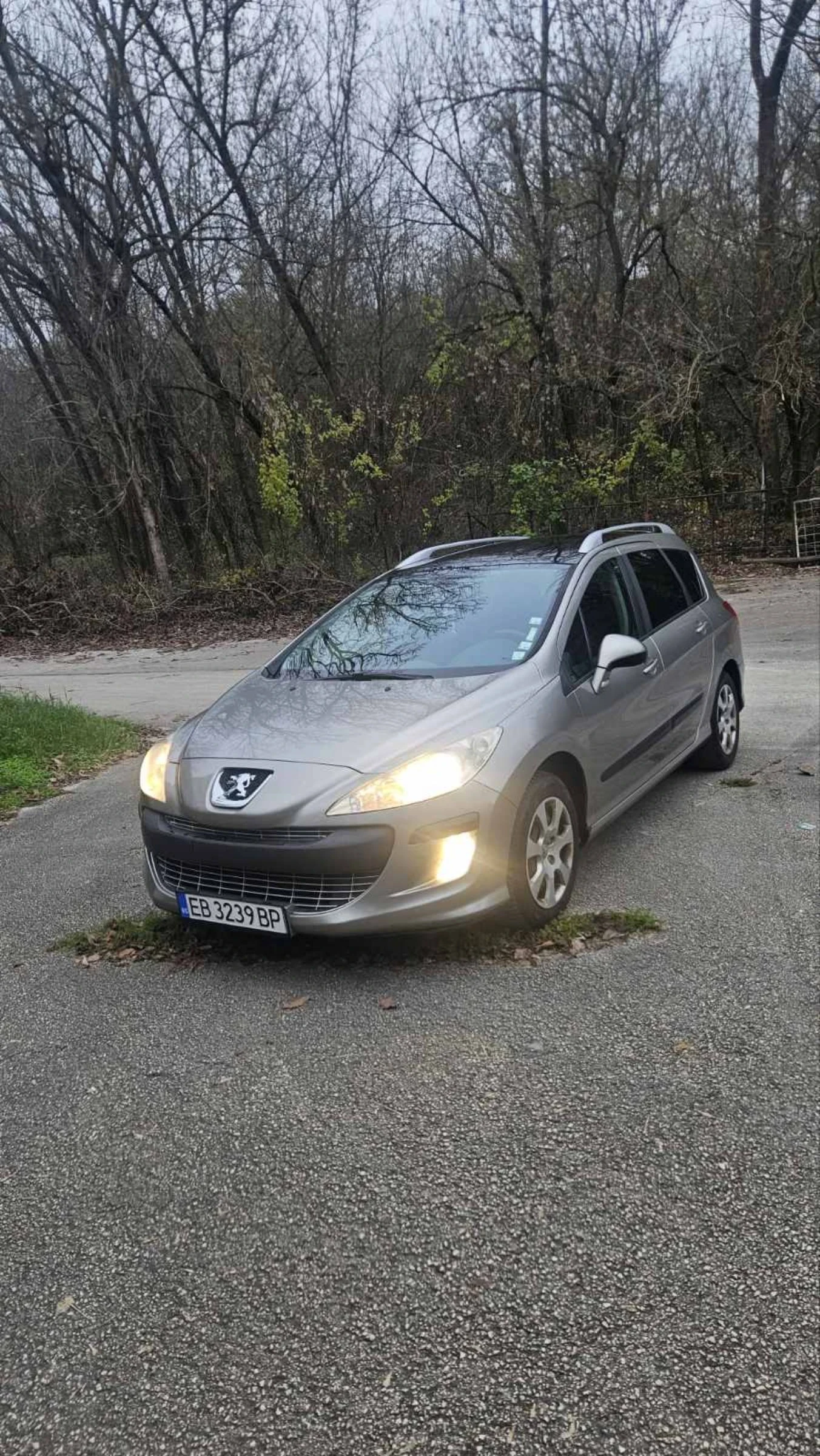 Peugeot 308 1.6 hdi Панорама, снимка 1