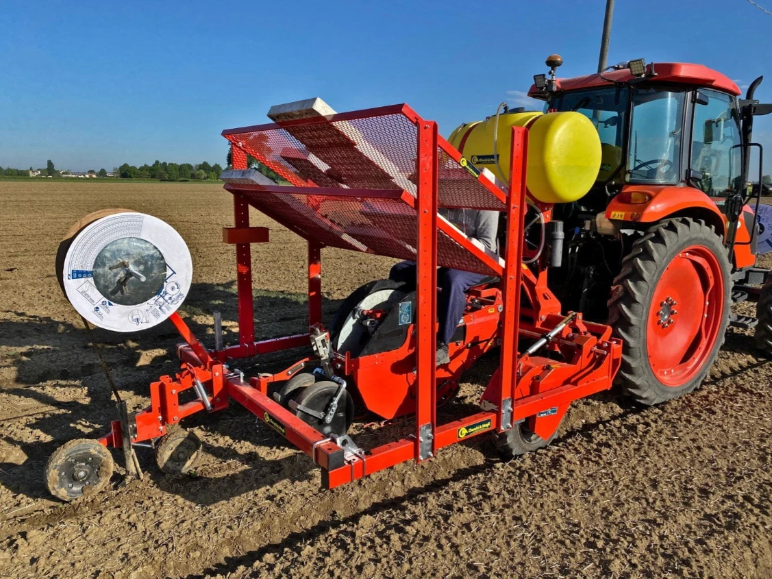     a-  Checchi&Magli  Wolf  | Mobile.bg   1