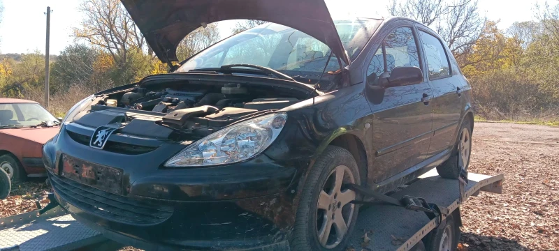 Peugeot 307, снимка 2 - Автомобили и джипове - 52778057