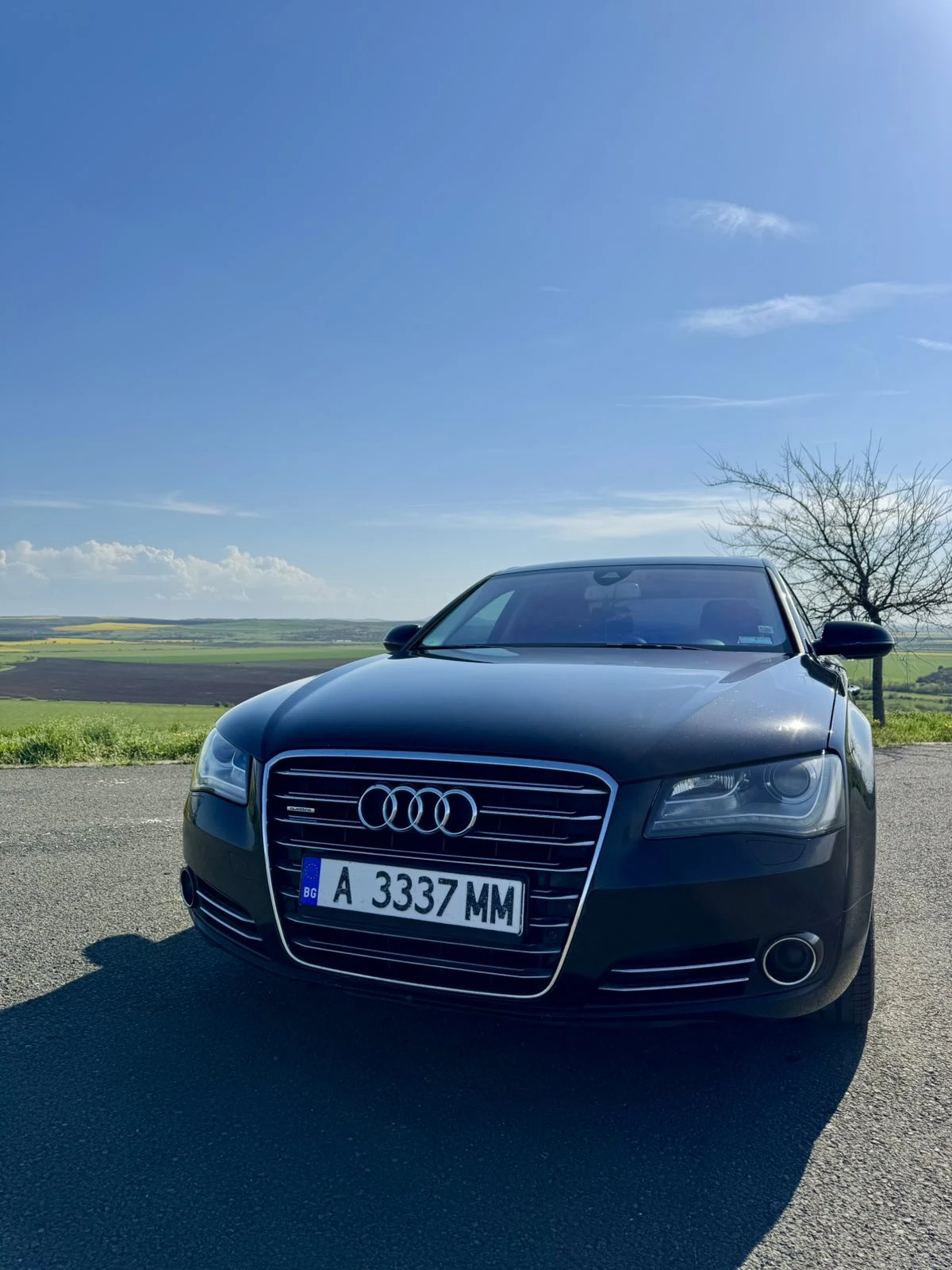 Audi A8 D4 - изображение 2