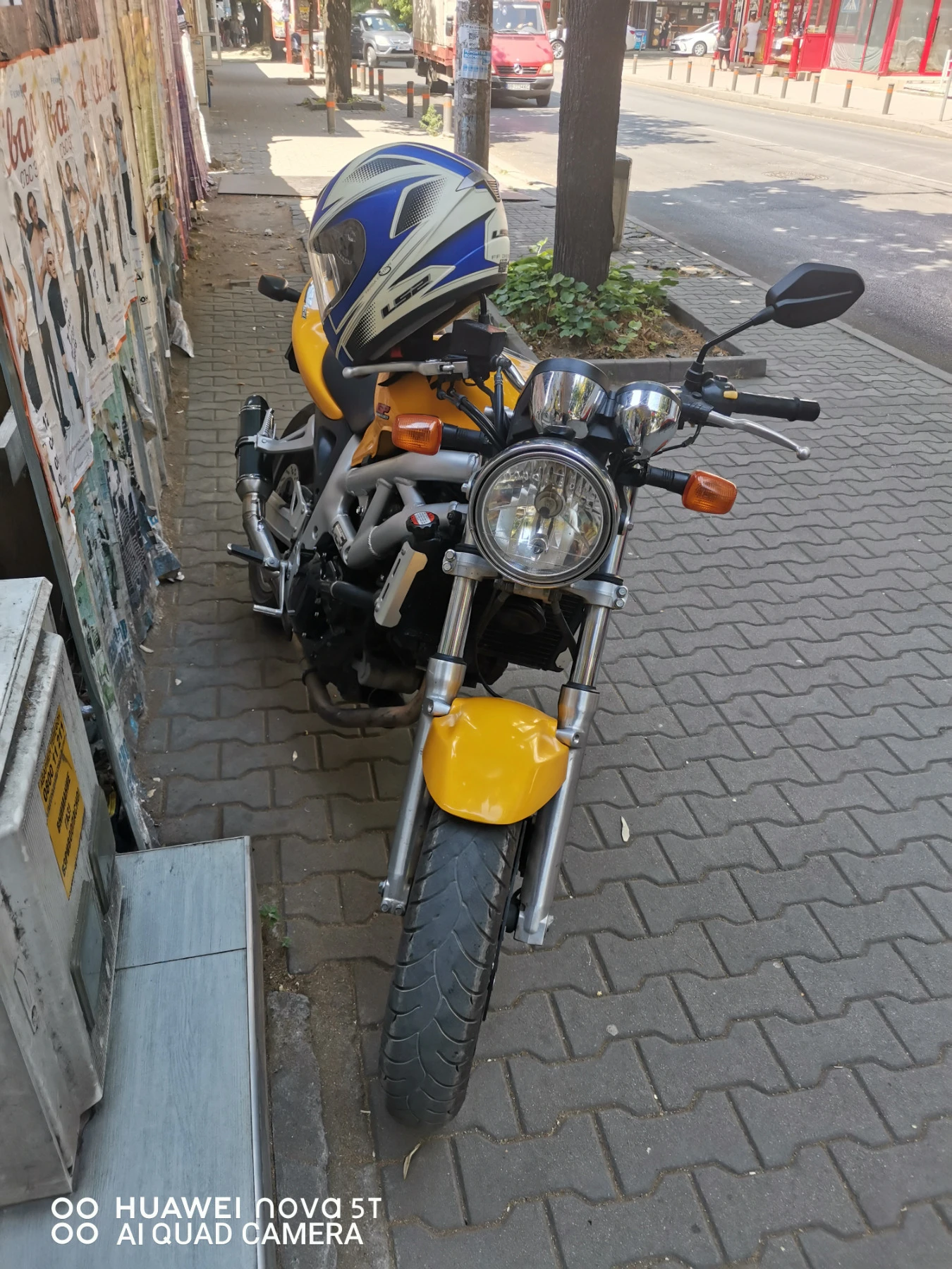 Suzuki SV  - изображение 5