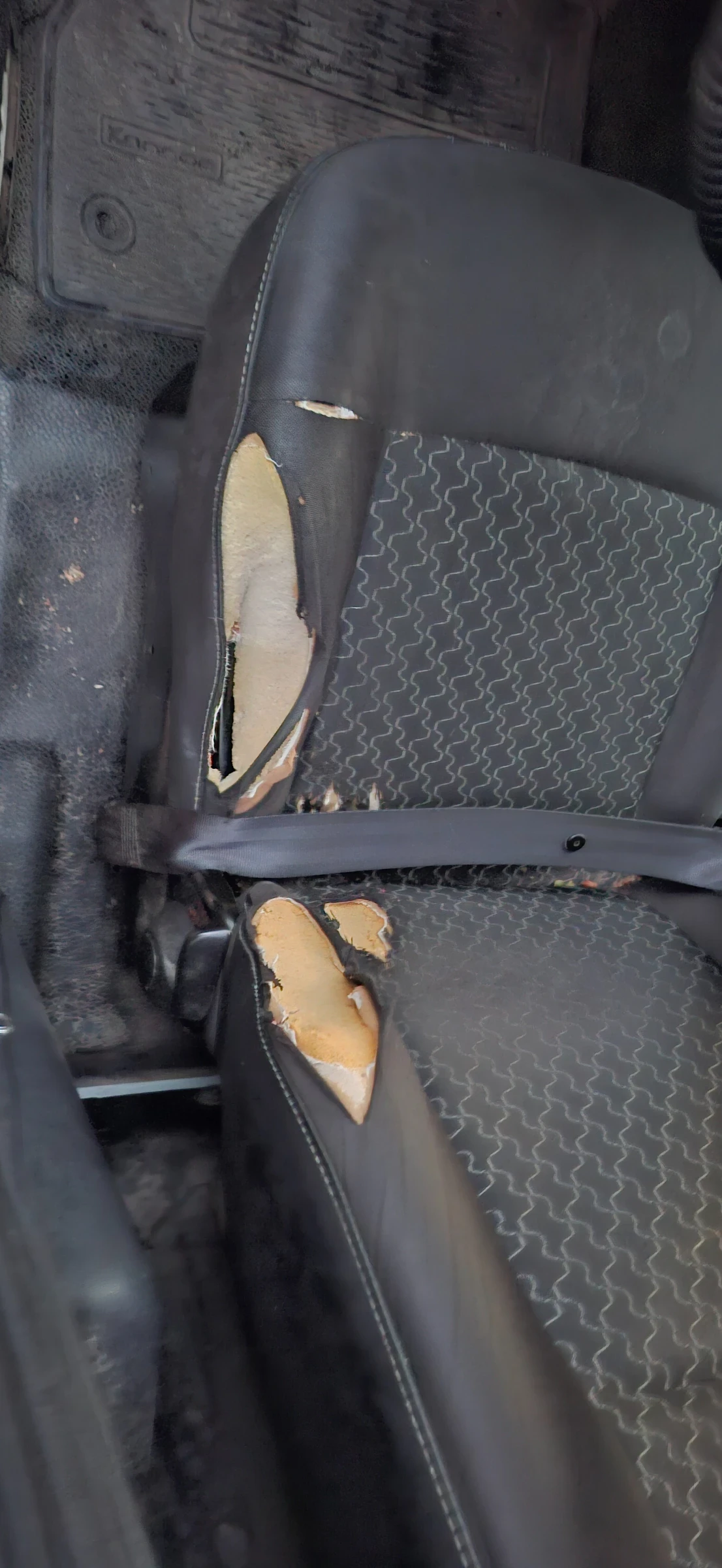 Renault Kangoo Средна база, снимка 5 - Автомобили и джипове - 56604657