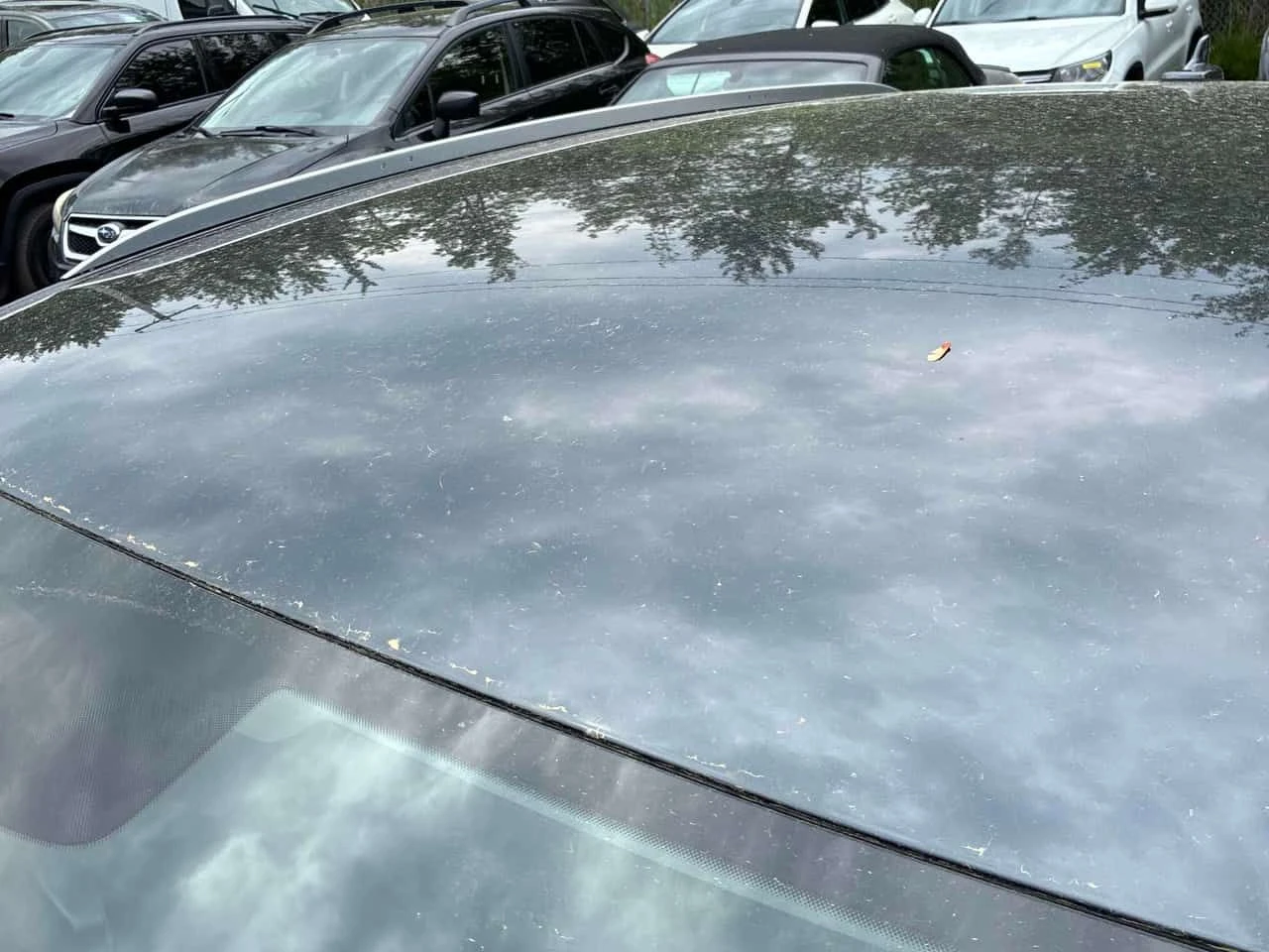 Audi Q5 * Komfort * CARFAX * ПОДГРЕВ * KEYLESS * , снимка 13 - Автомобили и джипове - 54869047