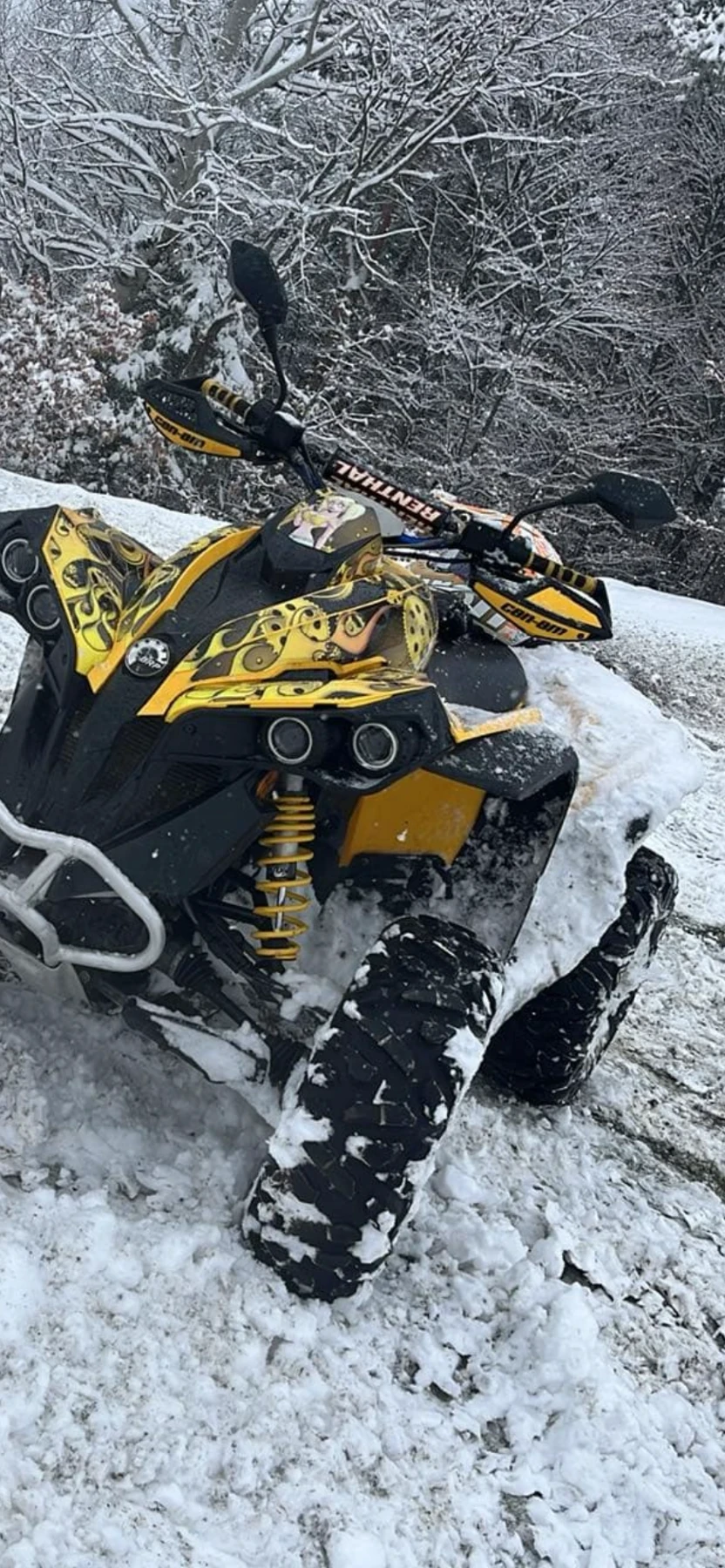Can-Am Renеgade  - изображение 3