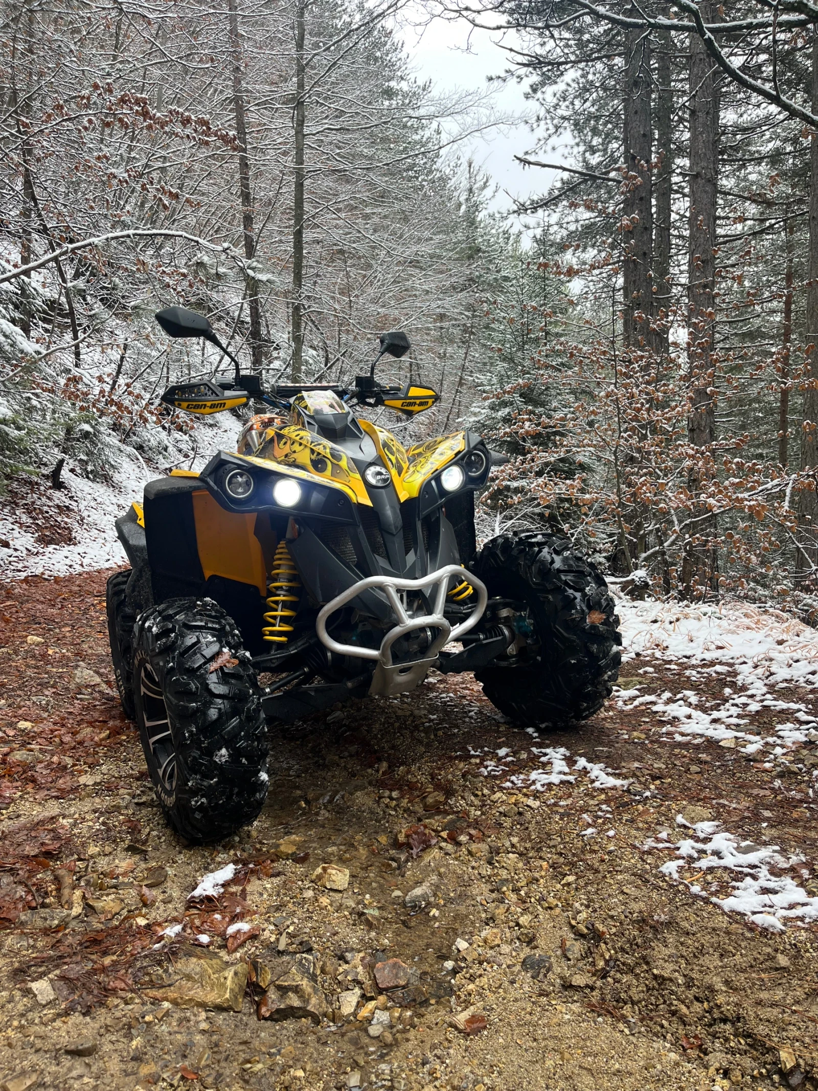 Can-Am Renеgade  - изображение 4