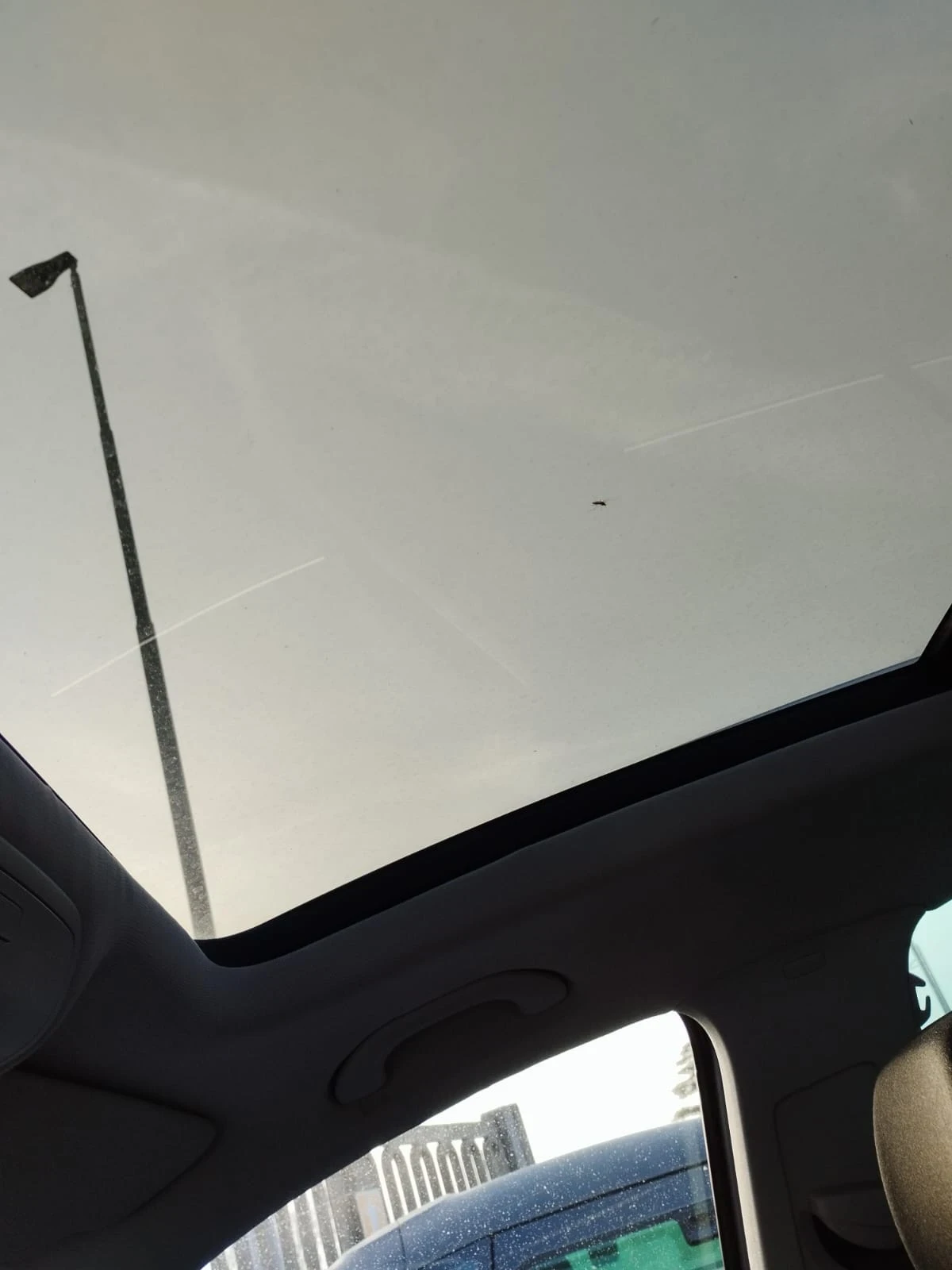 VW Tiguan 2.0TDI / 4motion / AUTOMATIC / PANORAMA , снимка 6 - Автомобили и джипове - 53820140